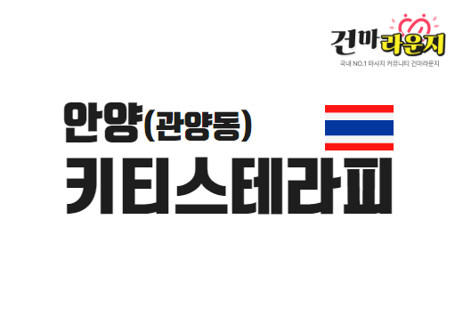 안양 관양동 키티스테라피