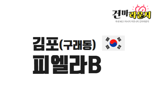 김포 구래동 피엘라B